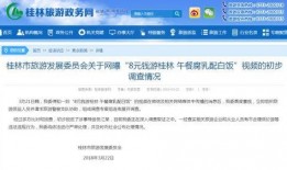 连云港导游爆料视频大全,导游爆料视频大全背后的精彩故事