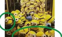 夹娃娃高手爆料视频下载,揭秘视频背后的技巧与奥秘