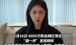 爆料假粉事件视频大全集,爆料视频大全集深度解析