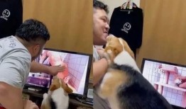 摸下边视频在线观看,跟随视频揭秘神秘世界
