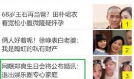 娱乐圈假爆料,假爆料背后的真相与内幕