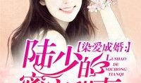 妻中密在线观看,揭秘婚姻背后的秘密世界
