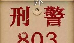 803在线观看免费,揭秘热门剧集背后的精彩故事