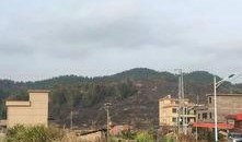 南安烧山最新爆料