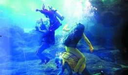 cf海底世界最新爆料是什么,神秘深海生物即将亮相