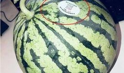 吃瓜QQ 网红,揭秘网络红人的幕后生活与影响力”