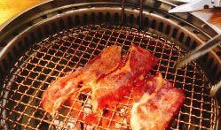 港城美食爆料视频下载大全