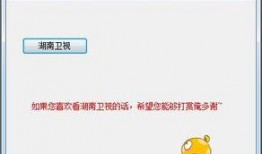 湖南同步直播在线观看,实时掌握教育资讯，畅享云端课堂体验