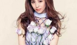 娱乐爆料陈数是哪一期的,娱乐爆料揭秘哪一期精彩瞬间