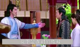 帝君爆料视频免费阅读,揭秘神秘事件背后的真相