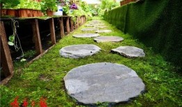 长春百花园爆料案件最新,揭秘背后惊人真相