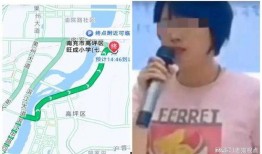 小学女老师爆料事件视频,揭秘校园内幕引发社会关注