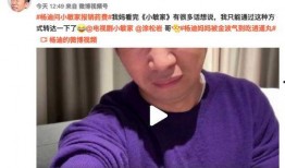 杨迪爆料被踢视频播放下载,揭秘幕后真相