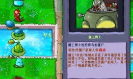 不同僵王的爆料视频,揭秘网络红人背后的秘密与争议