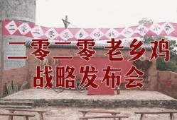 老乡鸡内部员工爆料视频,内部员工爆料视频曝光惊人内幕