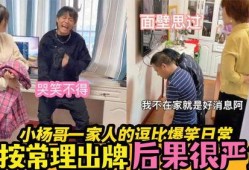 小杨哥爆料日常视频大全,揭秘生活百态，笑料横生