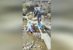 农村的爆料花哥视频播放,揭秘乡村生活新视角