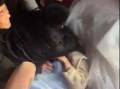 闹伴娘视频在线观看,一场欢乐与温馨的婚礼现场瞬间